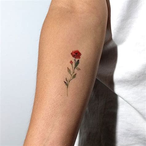 Jan 5, 2024 · Even some of the best tattoo designs are inked as the flowers. Today we have picked up 10 best flower tattoo designs for you. The tattoos are all put on the arm. Yes. We are going to show you 10 best arm flower tattoos for the week. The designs have ways to show the beauty of the flowers. Lilys mean purity; roses mean sexy; sunflowers mean …